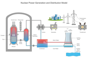 Nuclear power uses uranium or plutonium for fission, generating heat to produce steam. This drives turbines, generating electricity, which is distributed through extensive power grids efficiently.