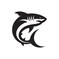 black and white shark