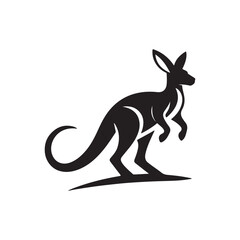 kangaroo illustration