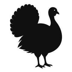 illustration of chicken