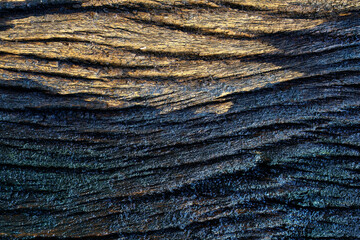 Textured Wood Surface with Intricate Grain Patterns and Shadows