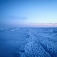 Expansive Winter Landscape with Snowy Terrain and Clear Blue Sky at Dawn, Capturing the Tranquility and Beauty of Nature&rsquo;s Coldest Season
