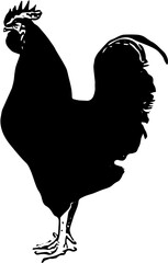 silhouette of a rooster