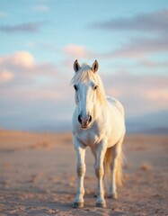 Obraz premium Beautiful horse running in wildlife