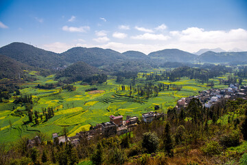 Dramatic sky over the canola fields circular terraces in Luoping, Yunnan, China