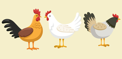 A vibrant vector illustration of three farm chickens in cartoon style, featuring detailed feathers and rural tones