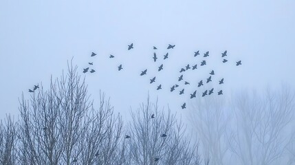 Obraz premium Silhouetted birds flying through a foggy landscape in early morning light.
