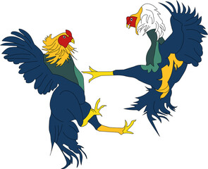 Cockfighting