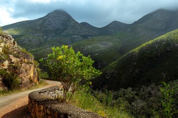 Just around the corner. Outeniqua Pass from the Montagu Pass near George.