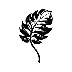 Obraz premium Tropical Leaves Silhouettes Design - Tropical tree Leaf Vector illustration