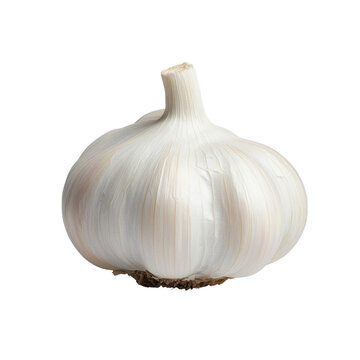 A bulb of garlic with a smooth