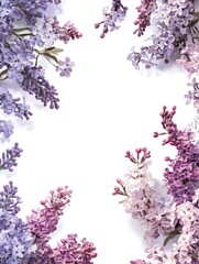A lavender-themed wedding frame with lilacs, violets, and small purple blossoms isolated on white background