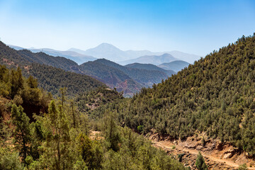 landscape in the mountains
