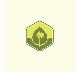 palm tree logo vector