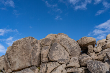 Cap Rock Nature Trail,  Joshua Tree National Park, California. Weathered Granitic Rocks. White Tank Quartz Monzonite. 