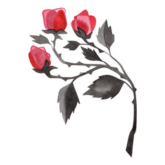 Branch of pink roses with black leaves. Isolated watercolor illustration for postcard, sticker, notebook, t-shirt.