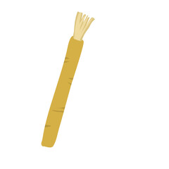 Siwak or miswak organic toothbrush