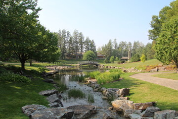 landscape with a pond