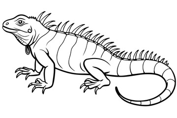 Line art of an iguana. Vector illustration 