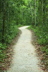 Biodiversity enhancement in lush forest landscapes revealing vibrant ecosystems where diverse flora and fauna thrive together in balance.