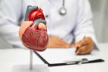 Cardiovascular disease CVD, doctor with heart human model anatomy for treatment patient in hospital.