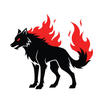 red wlf illustration