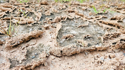 Close-up of Dry Cracked Earth Texture. Abstract background image of dry, cracked earth with intricate patterns.