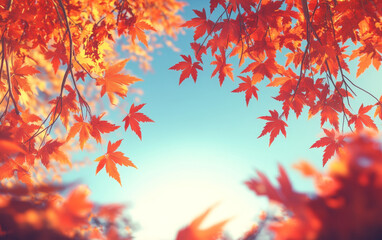 autumn leaves background