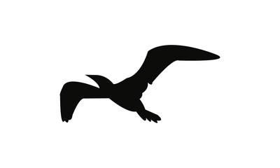 Fototapeta premium Flying boobie Bird Silhouette Design And Illustration. 