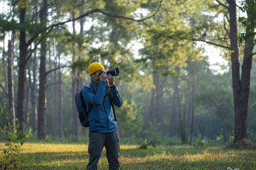 Photographer is taking photo of the new discovering bird species while exploring in the pine forest for surveying and locating rare biological diversity and ecologist on field study