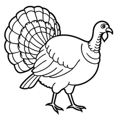 illustration of a country