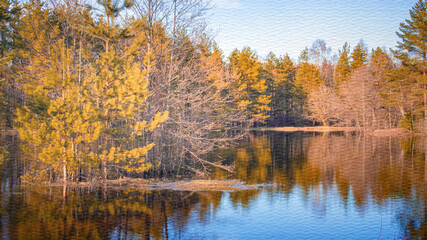 Serene lake with trees in the background