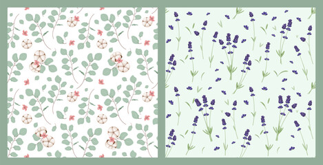 A set of seamless patterns with a floral pattern. Vector illustration.
