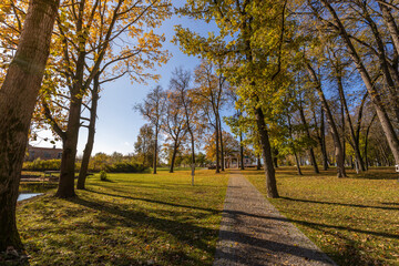 A park with trees and a path
