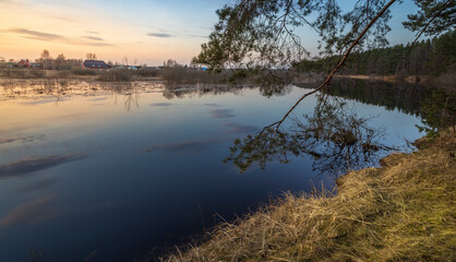 Fototapeta premium Calm lake with a tree branch in the water