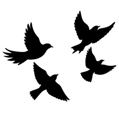 Fototapeta premium Flying bird vector art design. Birds icon silhouette art, Animal birds Elements illustration