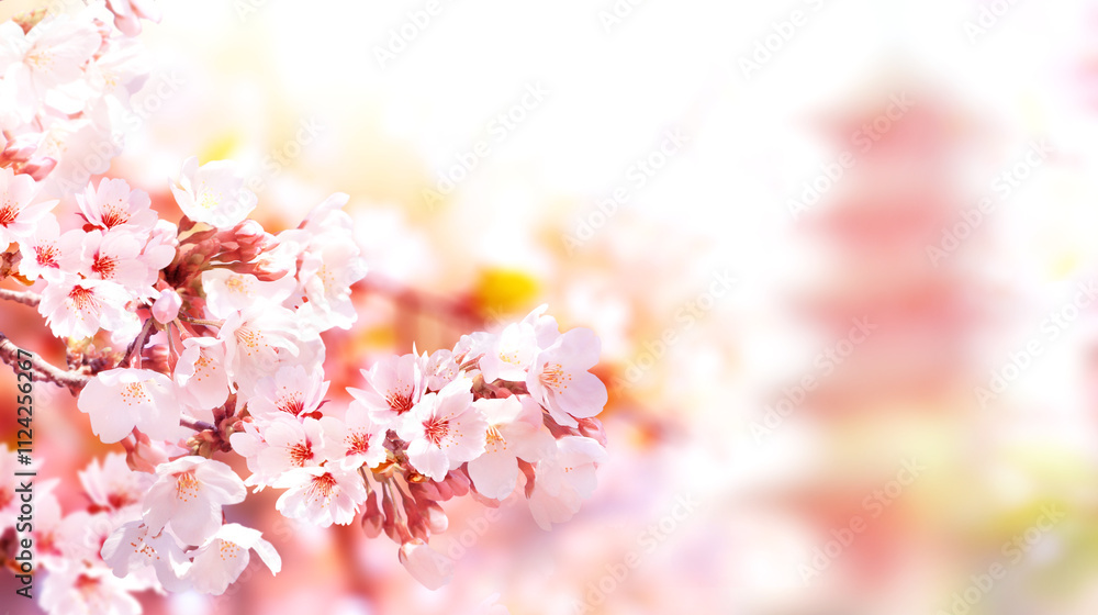 Aufkleber Horizontal banner with sakura flowers of white color and ancient pagoda on sunny misty backdrop. Beautiful nature spring background with a branch of blooming sakura. Sakura blossoming season in Japan