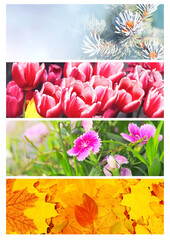 Obraz premium Four seasons of year. Set of horizontal nature banners with winter, spring, summer and autumn scenes. Nature collage with seasonal scenics. Copy space for text