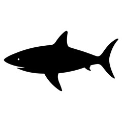 Obraz premium Shark animal vector black and white. Shark Silhouette, Animal Shark elements illustration