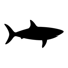 Obraz premium Shark animal black and white. Shark Silhouette, Animal Shark elements illustration