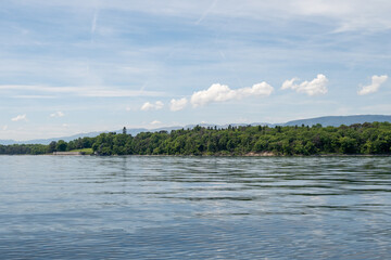 rivage sauvage du lac Léman