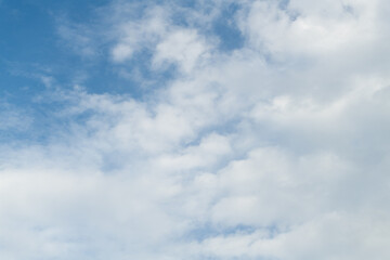 Fototapeta premium 見上げると綺麗な空