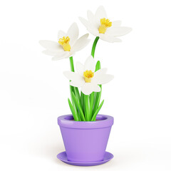 3d narcissus flower in pot cartoon render icon. Realistic daffodil floral plant in flowerpot or vase for summer home garden, house or office interior decor. Isolated cute houseplant. 3D illustration