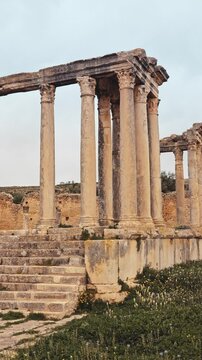 Remains of weathered stone steps and towering Corinthian columns of Roman Temple of Juno Caelestis among green fields in historical landscape of Dougga settlement in Tunisia