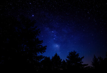Fototapeta premium A night sky with the Milky Way galaxy visible, with silhouetted trees in the foreground against a dark blue background