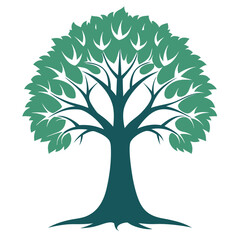 Obraz premium tree with roots