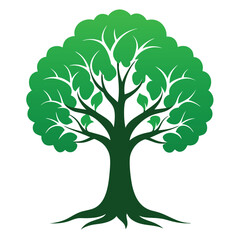 Obraz premium tree with leaves