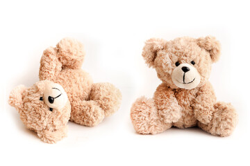 Cute brown teddy bear on white background