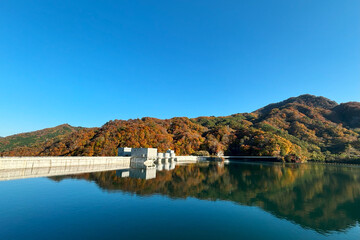 Fototapeta premium 日本 群馬県の「八ッ場（やんば）ダム」と紅葉の反射／青空のコピースペース【八ッ場（やんば）あがつま湖】