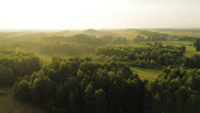 Sun rays piercing through misty forest, aerial shot
